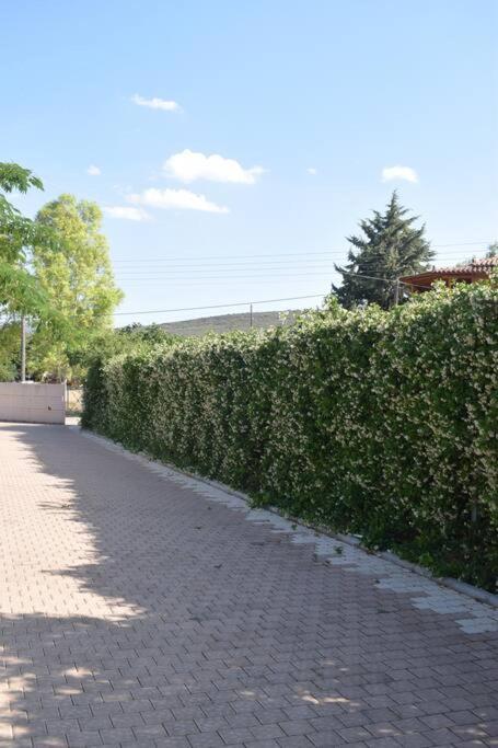 Βίλα Εύη Lygourio Buitenkant foto